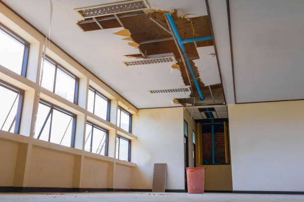 Water damage restoration mold remediation in CT