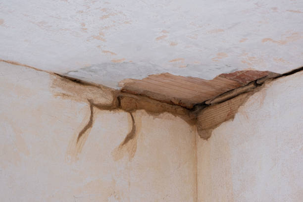 Best Flood damage cleanup  in Mill Plain, CT