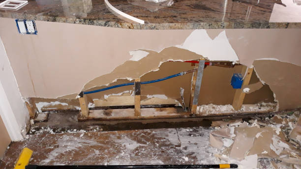 Best Water damage cleanup near me  in Mill Plain, CT