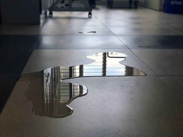 Best Water damage restoration experts  in Mill Plain, CT